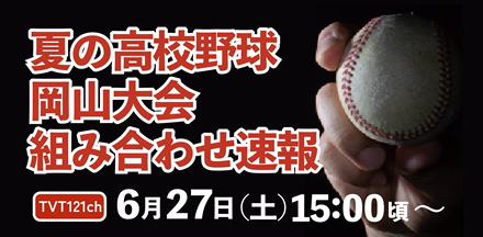夏の高校野球 岡山大会 組み合わせ速報